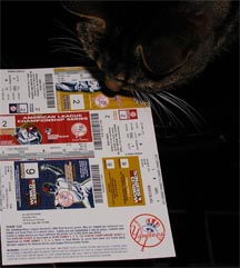 My cat, Tai Gau, stares at our postseason tickets and contemplates the matchups he'd like to see...